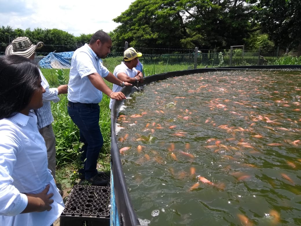 Distrito busca capacitar a más de 300 campesinos sobre temas de Acuicultura Distrito busca capacitar a más de 300 campesinos sobre temas de Acuicultura