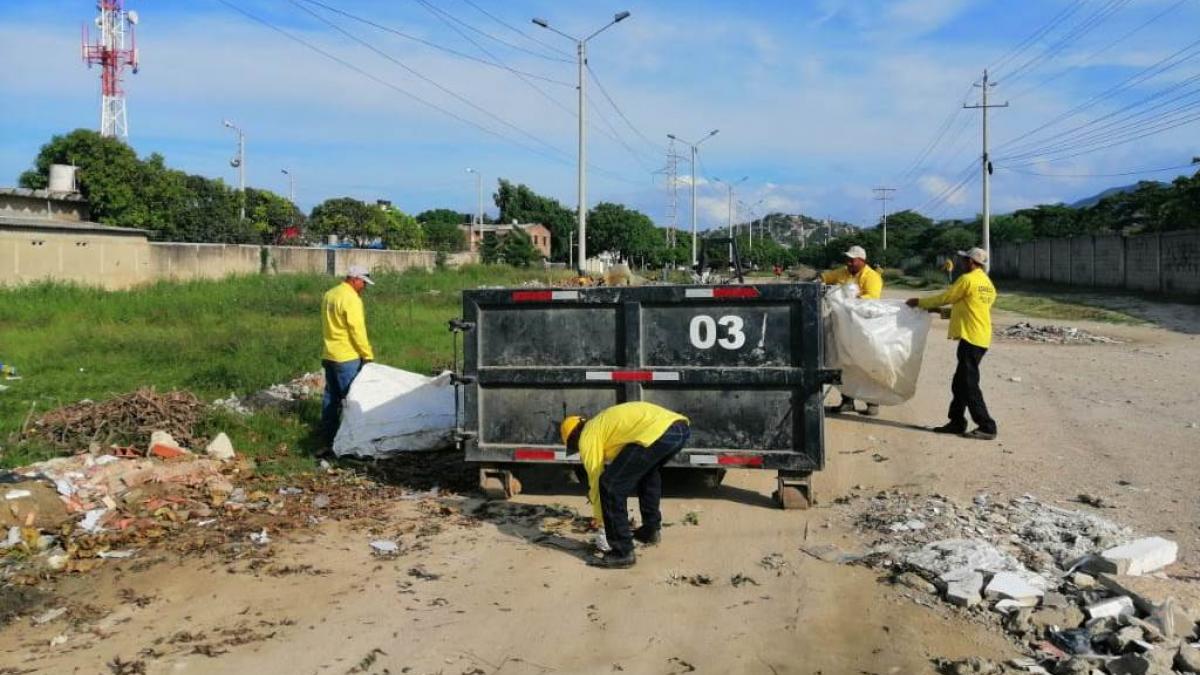 Essmar retiró tres toneladas de material vegetal en la calle 29